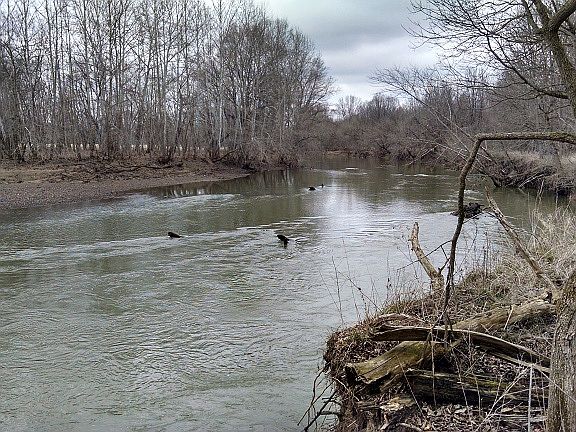 3rd image of 35000 Well Rd