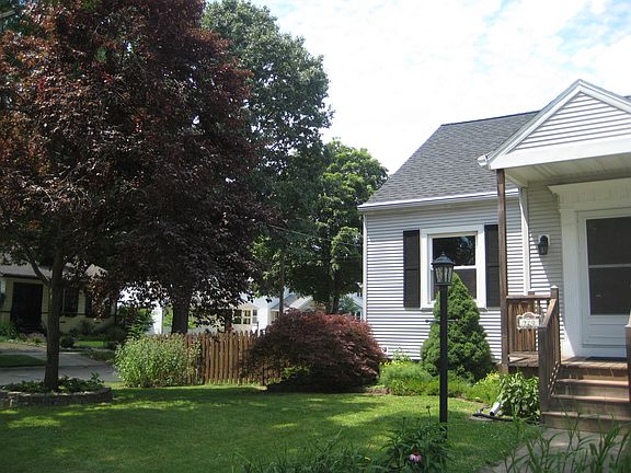 Foliage near side yard