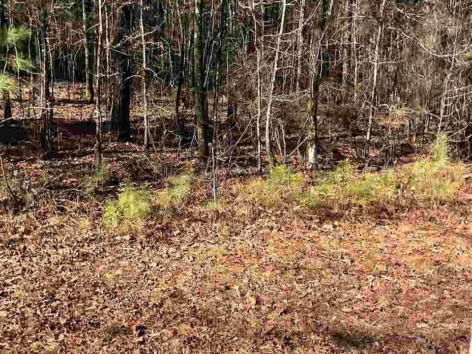 1030 Highway 301 Calera AL Zillow Apartments for Rent in Calera