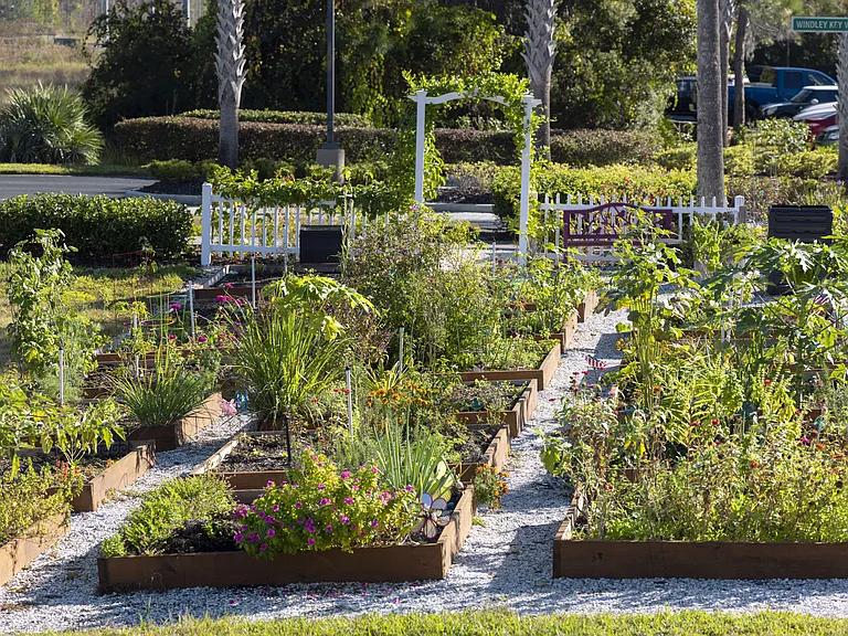 Camden Westchase Park — Photo 21