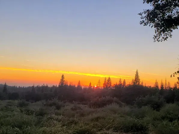 Kearsarge Mill Rd, Alta, CA 95701
