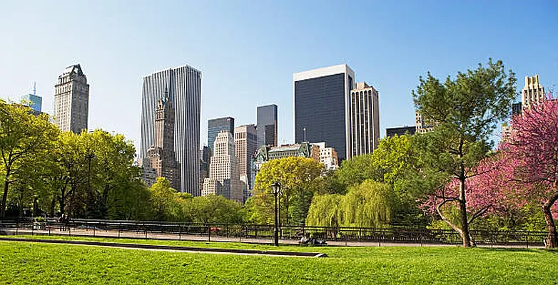 Rented by Luxian International Realty LLC | media 87