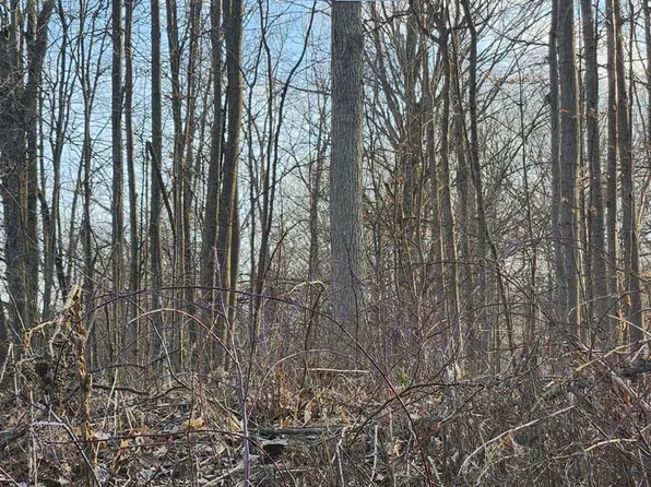 4 W Brocker Rd, Goodrich, MI 48438