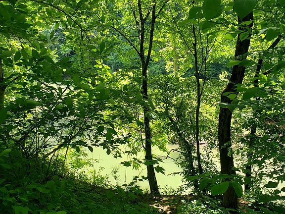 2nd image of 0 Henson Ln Lot 5