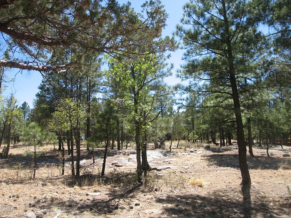 1st image of 5288 Bald Eagle Way