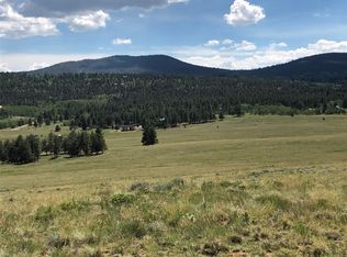 683 & 755 Wagon Wheel Rd, Hartsel, CO 80449