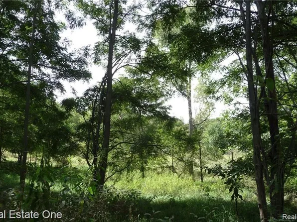 0 Indian Camp Trl, Howell, MI 48855