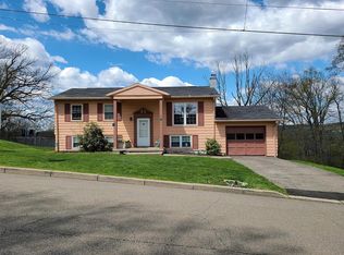 8 Woodlawn Ave, Owego, NY 13827