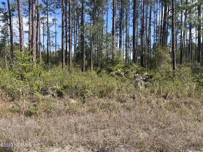 00 HAMRICK Street, Interlachen, FL, 32148