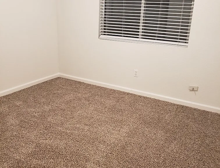 706 Timberleaf Dr — Photo 9