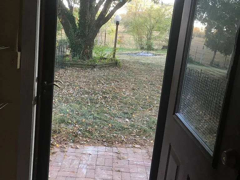 Looking through back door onto back yard