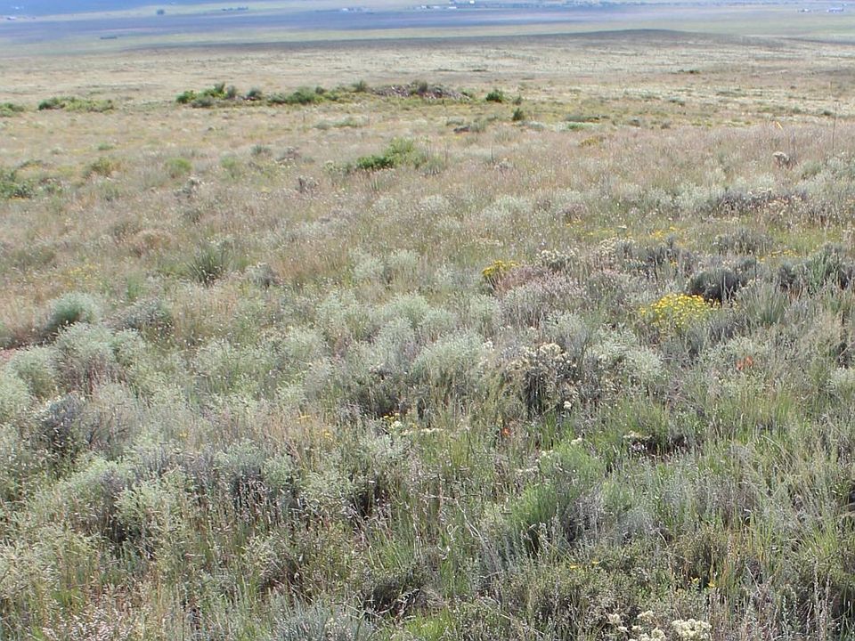 1st image of 1009 Taos Trl