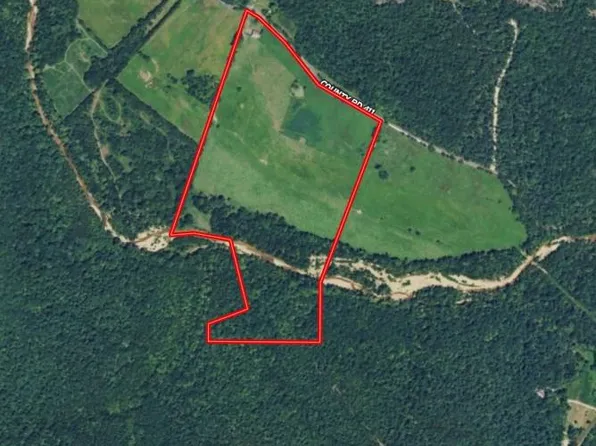 Off Madison #411, Fredericktown, MO 63645