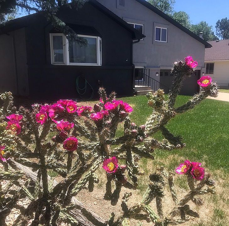 New paint and roof, 2020