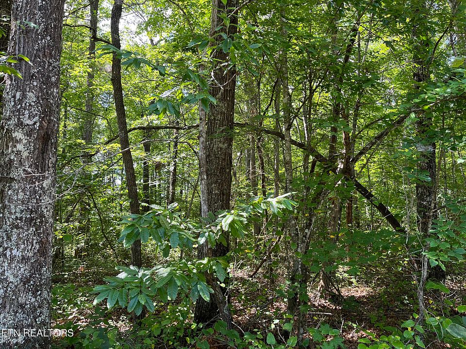 2nd image of Ridgetop Dr