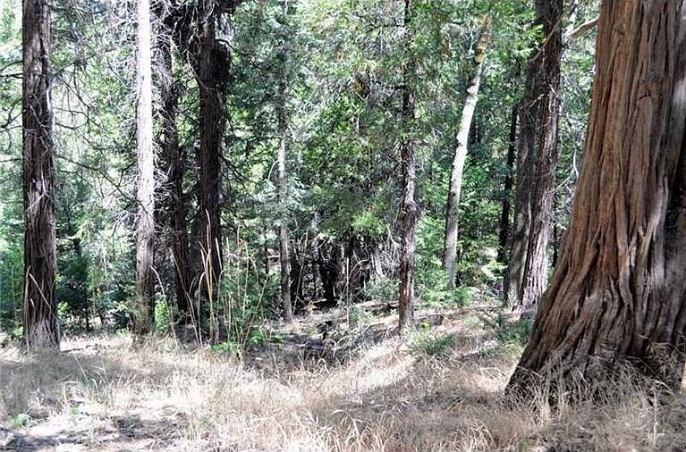 1st image of Cedar Pines Dr