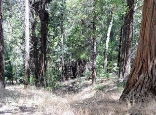 Cedar Pines Dr, Cedarpines park, CA 92322