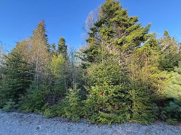 4th image of Lot 009 Off of Reynolds Brook Road