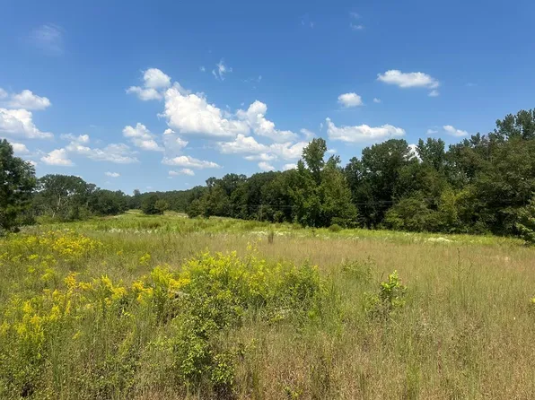 0 County Road 6636, Troy, AL 36081