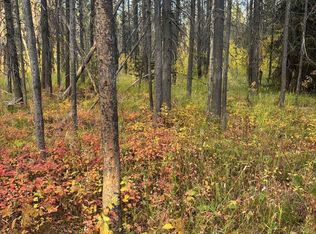 4063 Wood Ln, Island Park, ID 83429