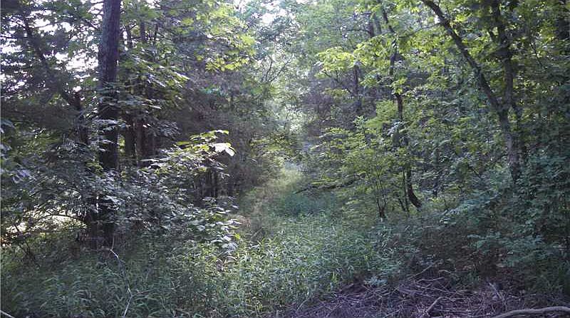 2nd image of 643 County Rd