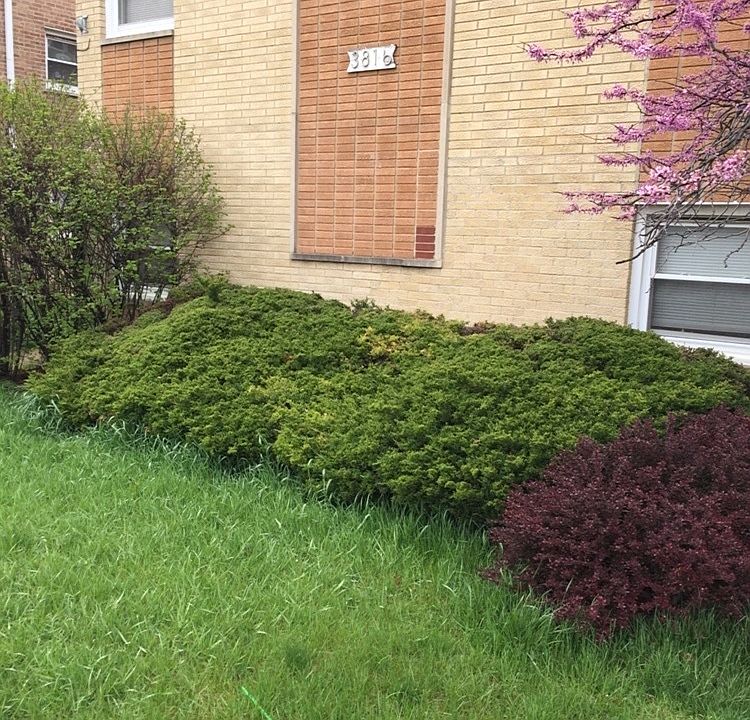 2nd image of 3816 W 47th St #3RDFR