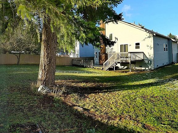Full Backyard