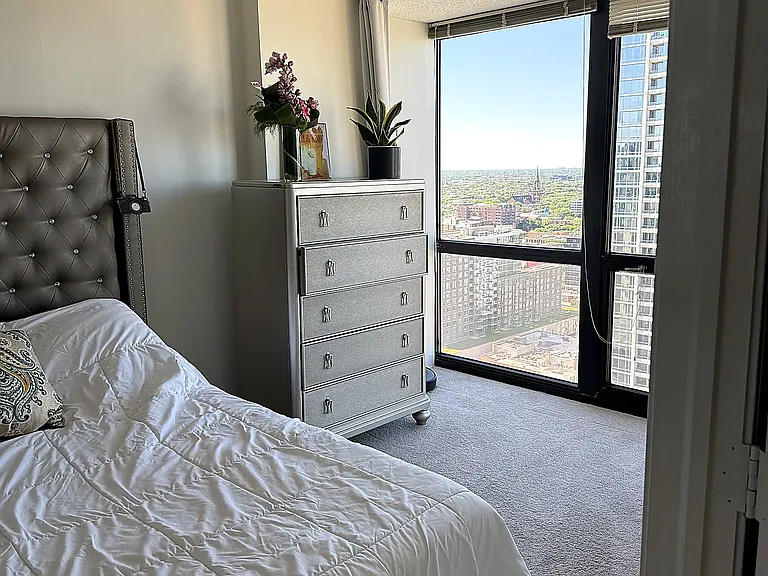 1122 N Clark St #3005 — Photo 5