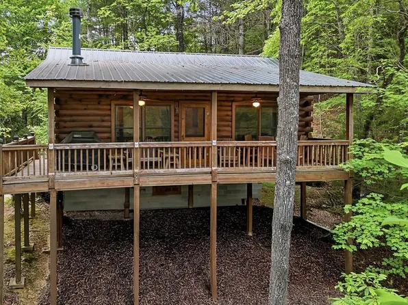 156 Dupont Dr, Blue Ridge, GA 30513