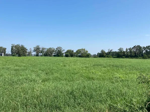 0 SE Maltese Rd, Mayo, FL 32066