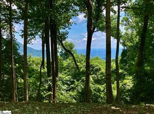 100 Deep Haven Ln, Landrum, SC 29356