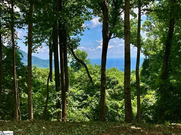 100 Deep Haven Ln, Landrum, SC 29356