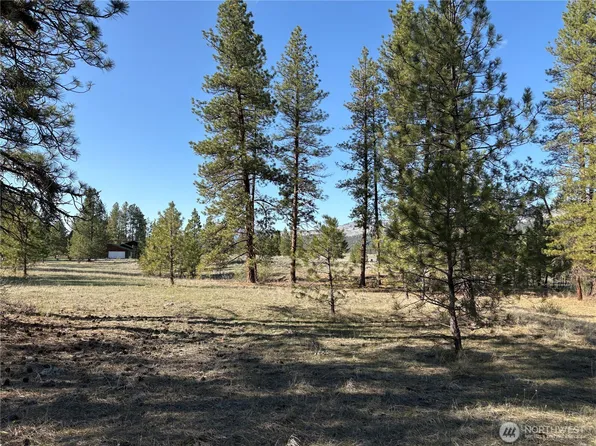 0 Tamarack Road, Tonasket, WA 98855