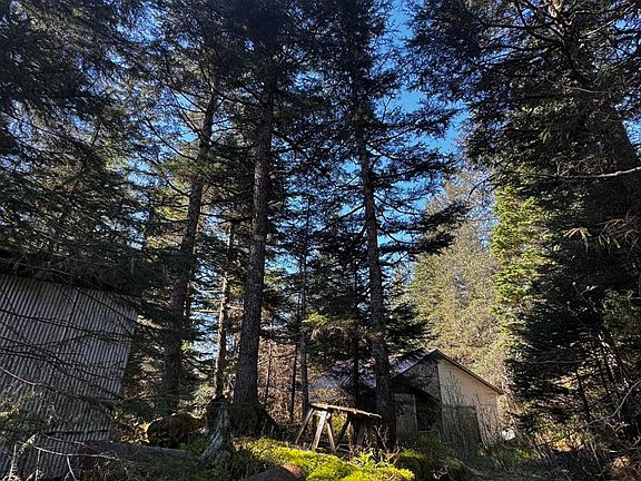 2nd image of 15485 Grouse Creek Rd