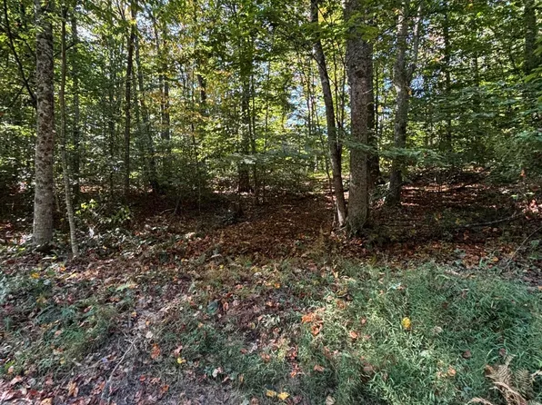 0 Red Oak Rd, Fayetteville, WV 25840