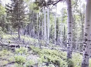 425 Rim Rd, Cimarron, CO 81220