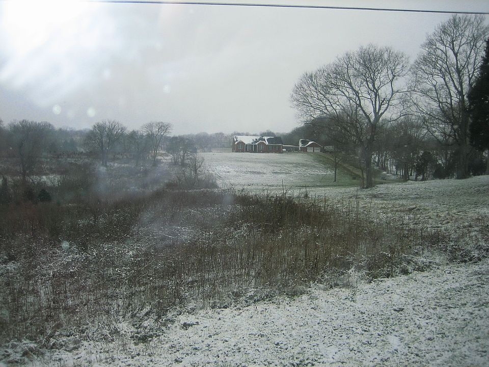 View from Road