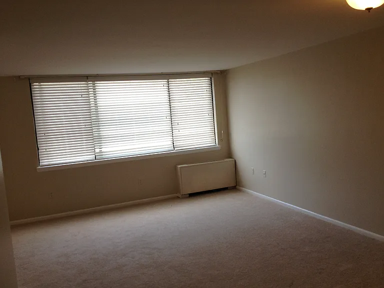 4401 Lee Hwy #23 — Photo 3