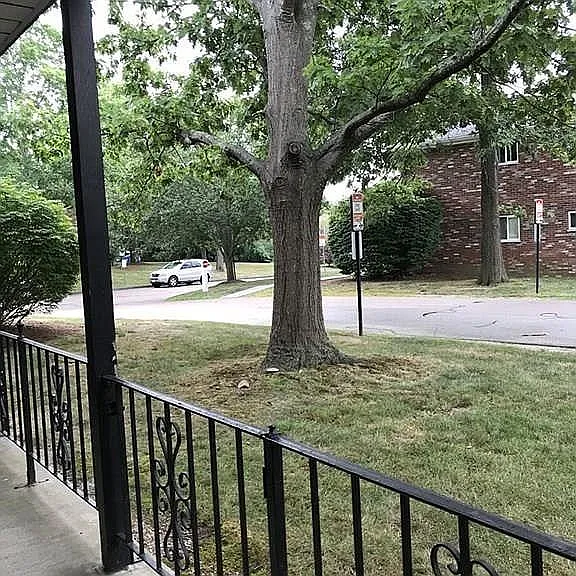 28 Fountain Ln #3 — Photo 13