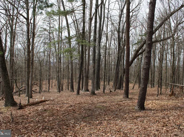 26 E Redstone Trl, Slanesville, WV 25444