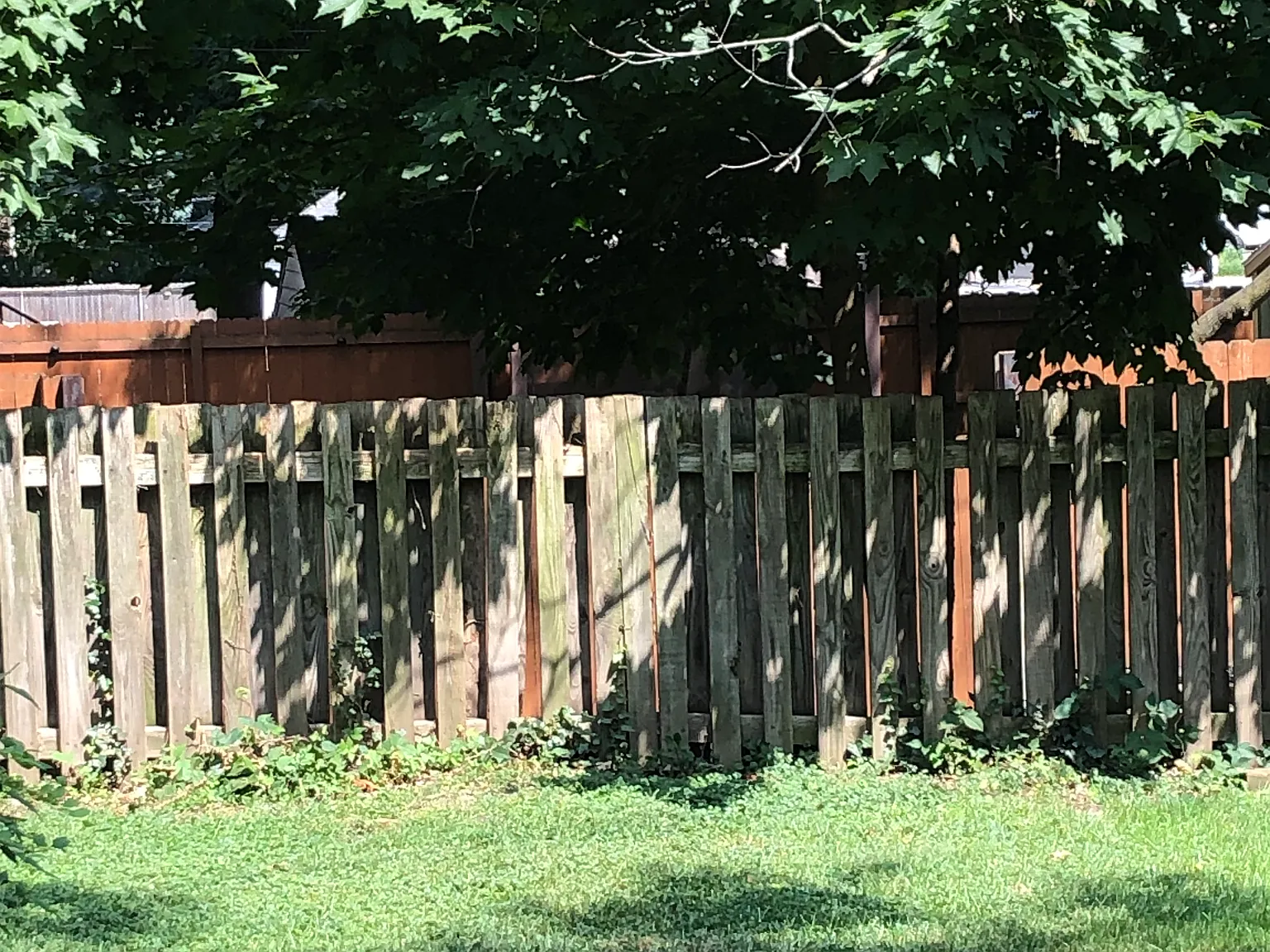 5 bed, 1758 sqft, $4,500 — Photo 4