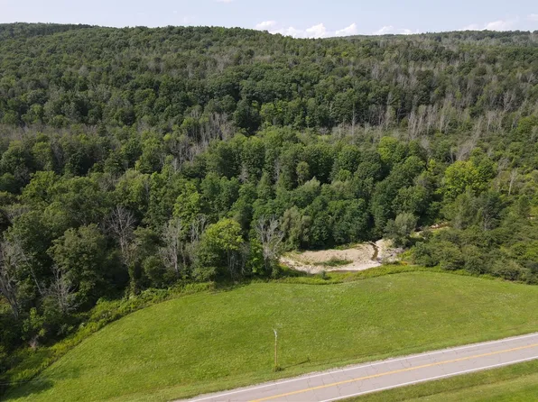 LOT 1 McHenry Valley Rd, Almond, NY 14804