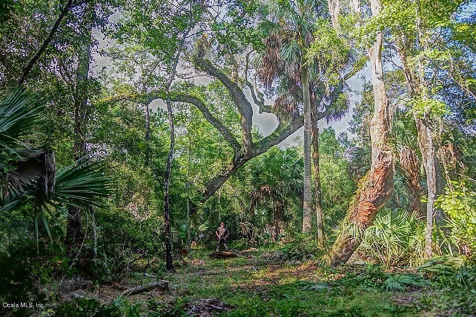 1st image of 6073 E Forest Trail Dr