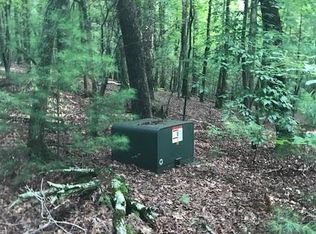 0 Lynch Mountain Rd, Sautee Nacoochee, GA 30571