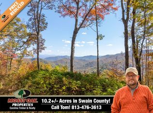 9999 Conleys Creek Rd, Whittier, NC 28789