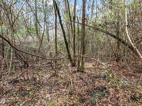 3rd image of 30 Erwin Rd