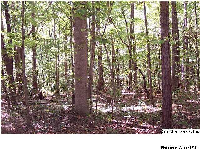 1st image of 22 Blackberry Ln