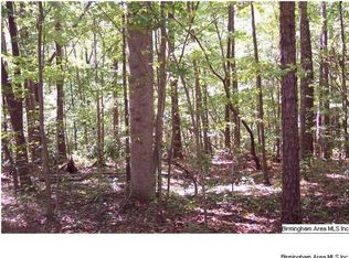 22 Blackberry Ln, Remlap, AL 35133