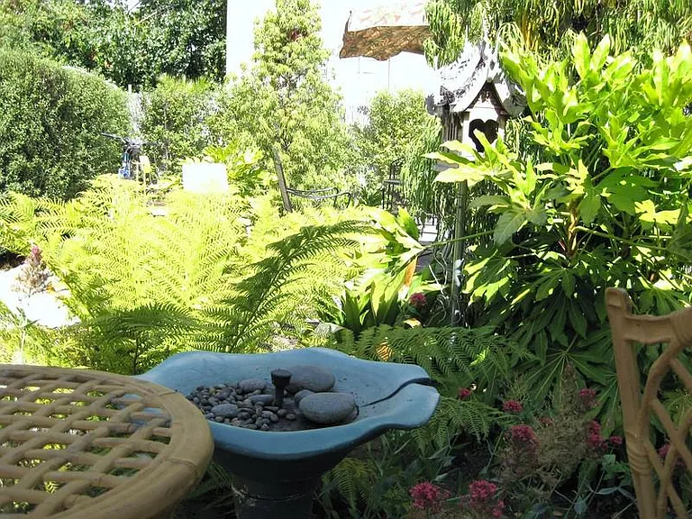 Garden detail