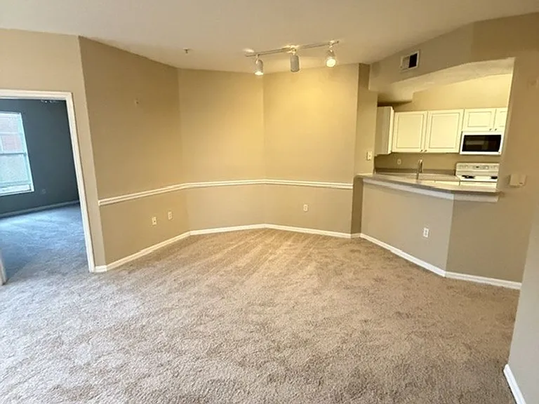 5536 Metrowest Blvd #8201 — Photo 7